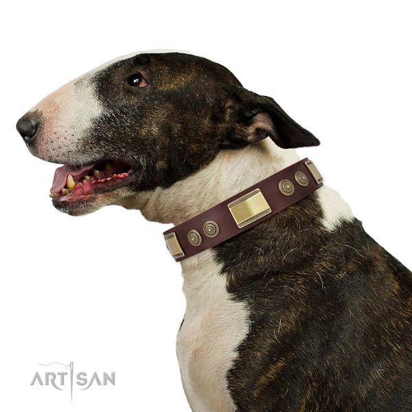 Impressive adornments on basic training dog collar
