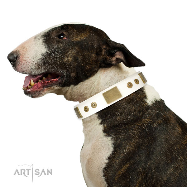 Durable handy use dog collar of leather