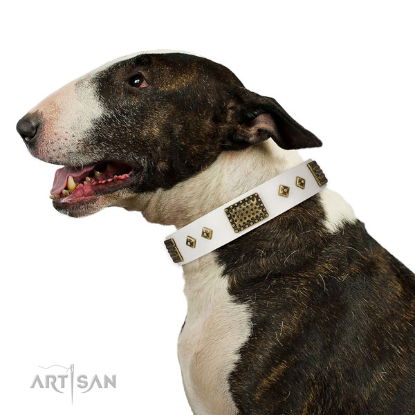 Stylish walking dog collar of genuine leather with inimitable embellishments