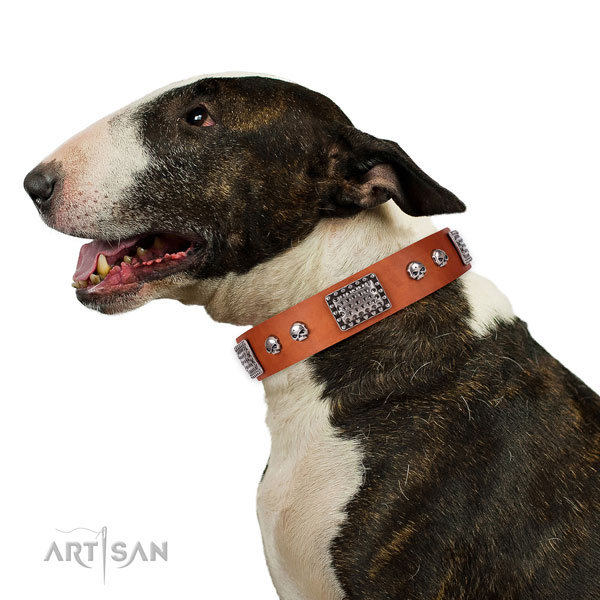 Unusual natural genuine leather collar for your handsome canine