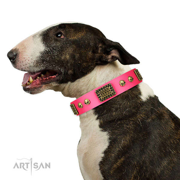 Rust resistant D-ring on leather dog collar for handy use