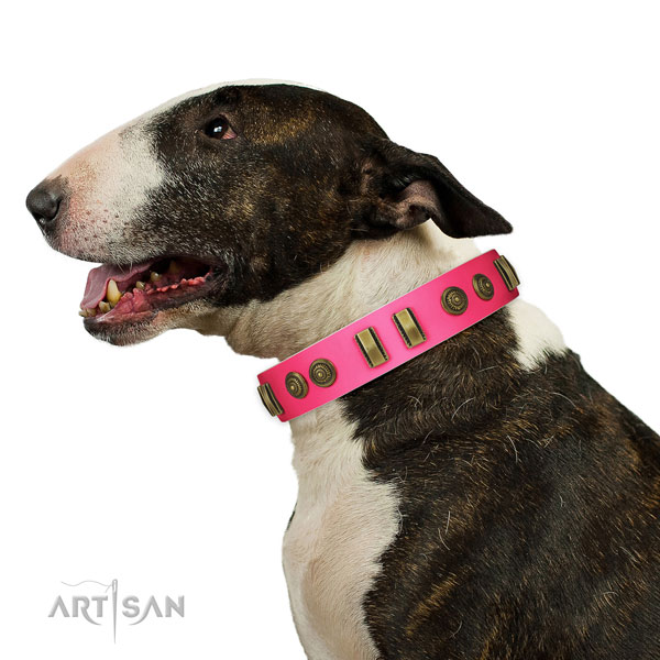 Everyday walking dog collar of genuine leather with remarkable embellishments