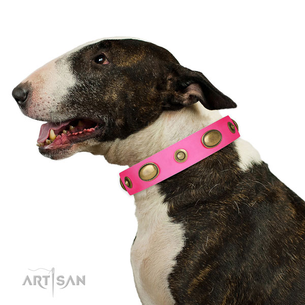 Comfy wearing dog collar of genuine leather with trendy embellishments