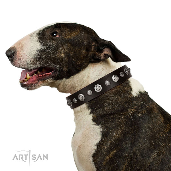 Best quality natural leather dog collar with awesome embellishments