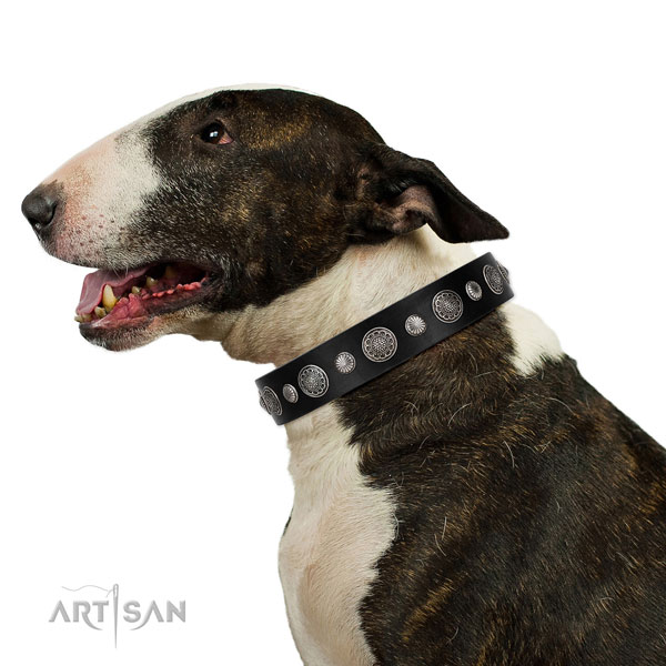 Full grain genuine leather collar with reliable traditional buckle for your impressive doggie