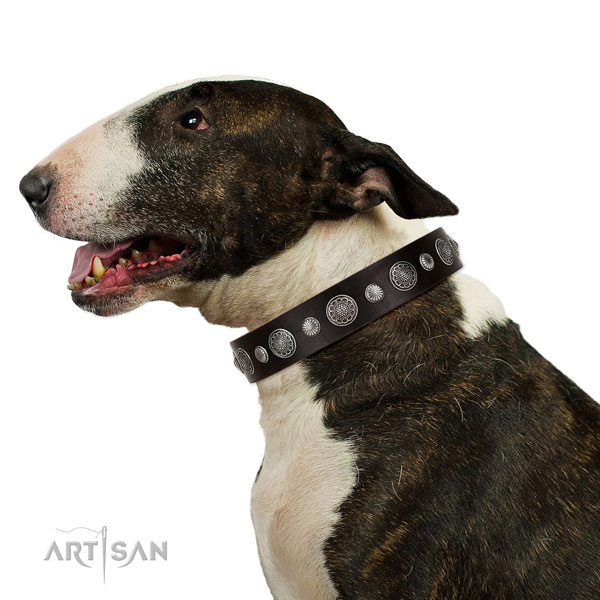 Natural leather collar with reliable buckle for your attractive dog