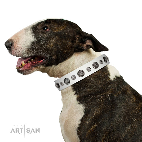 Significant full grain leather dog collar with rust-proof buckle