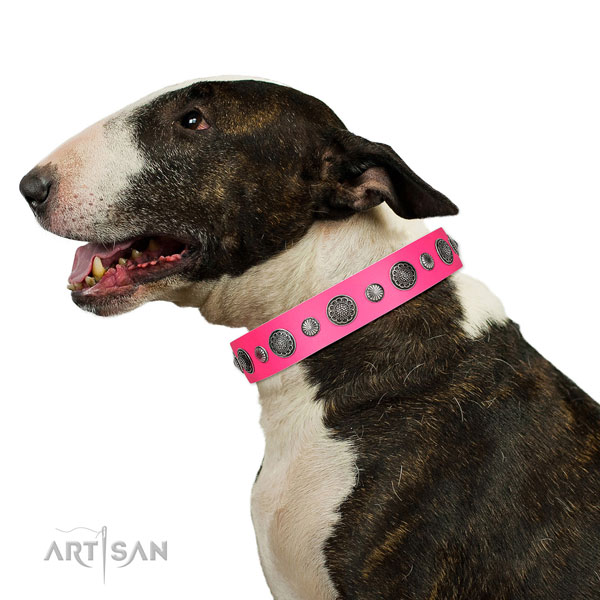 Fashionable leather dog collar with rust-proof hardware