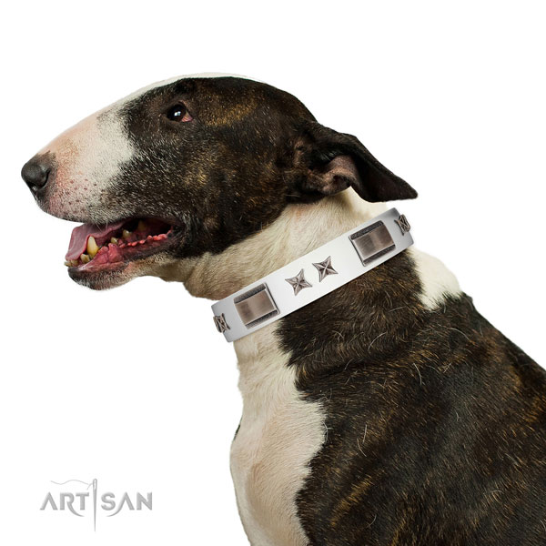Unusual collar of leather for your handsome pet