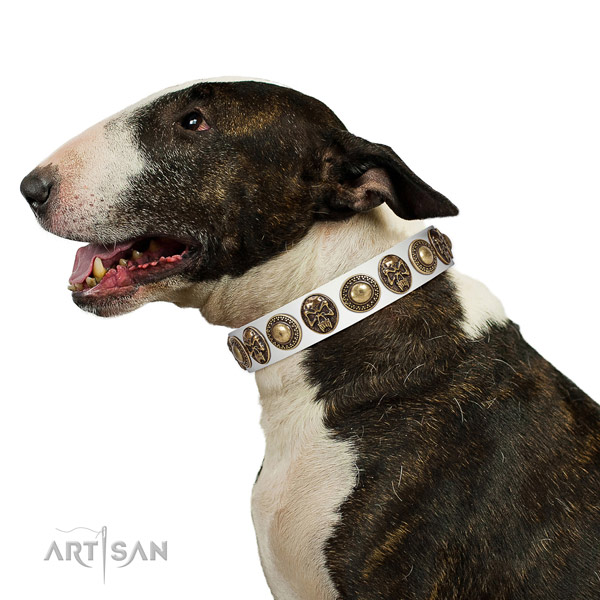 Inimitable full grain genuine leather collar for your handsome four-legged friend