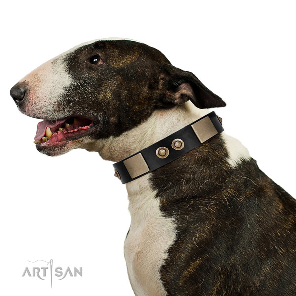 Rust resistant D-ring on leather dog collar for handy use