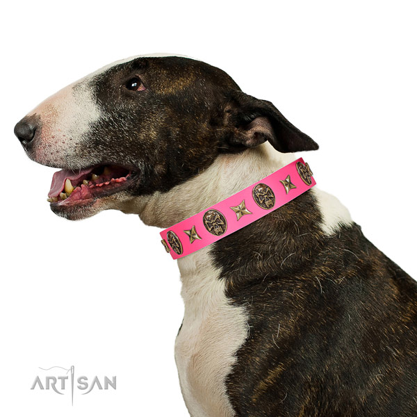Extraordinary dog collar handmade for your lovely four-legged friend