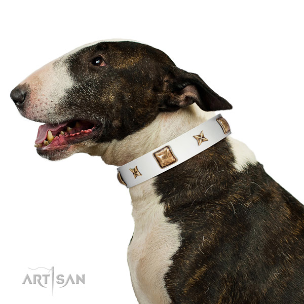 Easy wearing full grain natural leather dog collar with adornments
