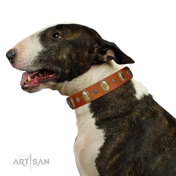 Fancy walking reliable full grain genuine leather dog collar with studs