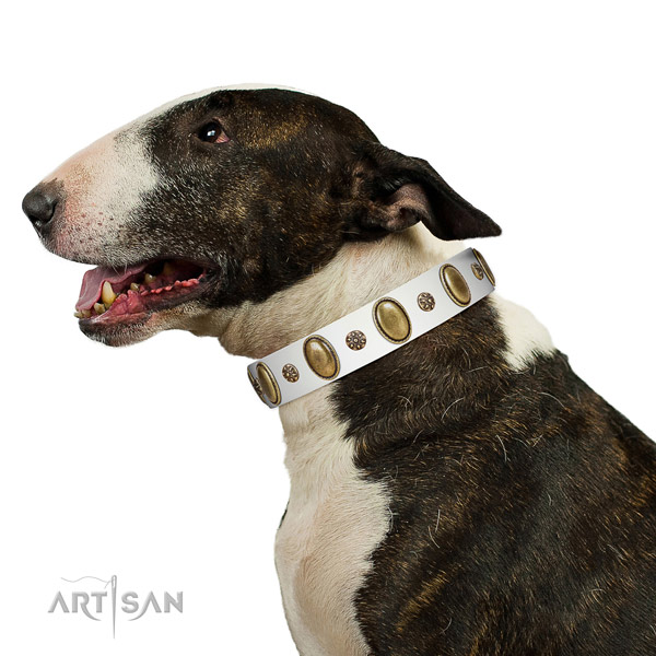 Comfortable wearing top notch genuine leather dog collar with decorations