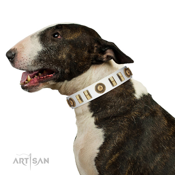 Exceptional natural leather dog collar with strong D-ring