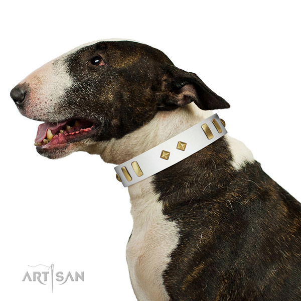 Everyday use reliable leather dog collar with studs