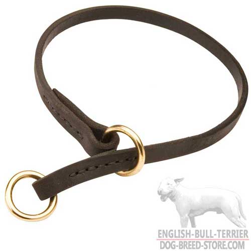 Training Leather Bull Terrier Choke Stitched for Durability