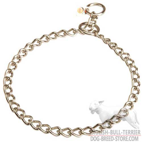 Rust Resistant Bull Terrier Choke Collar