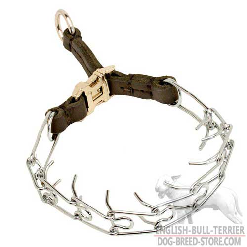Durable Chrome Plated Bull Terrier Pinch Collar with Easy-to-Use Buckle