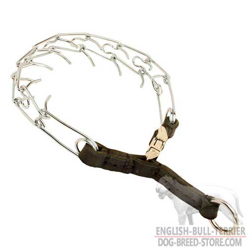 Smooth Chrome Plated Bull Terrier Pinch Collar with Durable Leather Part