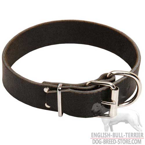Bull Terrier Gear: Adjustable Leather Dog Collar for Comfy Walking
