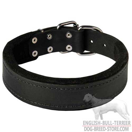 Easy Adjustable Padded Leather Dog Collar for Bull Terrier