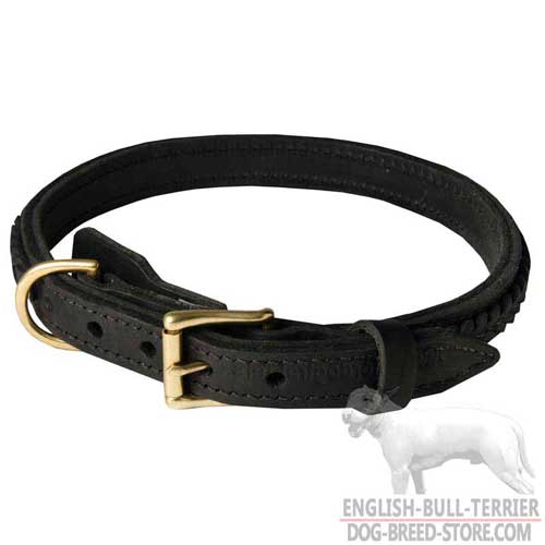 Everyday Braided Leather Dog Collar for English Bull Terrier