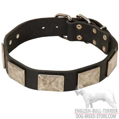 Comfy Leather Bull Terrier Collar for Walking