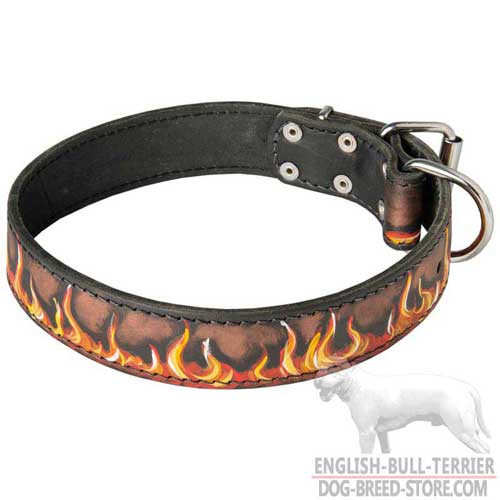 Bull Terrier Designer Gear: Leather Dog Collar for Everyday Walking and Training