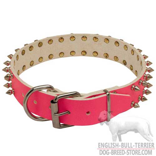Pink Leather Bull Terrier Collar with Reliable Nickel Plated Hardware