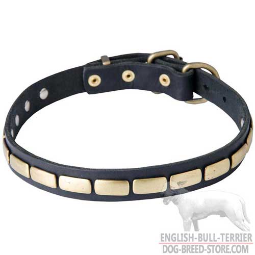 Designer Leather Dog Collar for Bull Terrier with Plates
