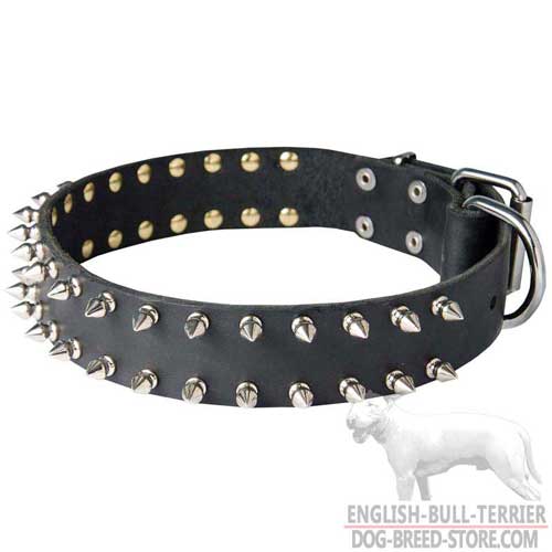 Designer Leather Bull Terrier Collar Spiked