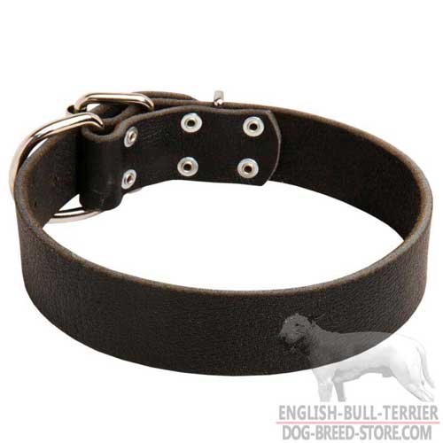 Simple Design Leather Bull Terrier Collar for Easy Dog Training