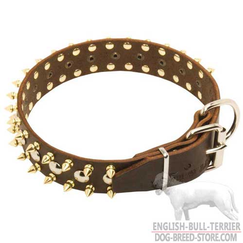 Bull Terrier Collar Spiked and Studded with Durable Buckle