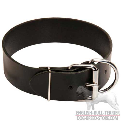 Extra Wide Training Leather English Bull Terrier Collar With Reliable Hardware