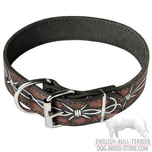 Fancy Leather Dog Collar for Bull Terrier Training with Nickel Hardware