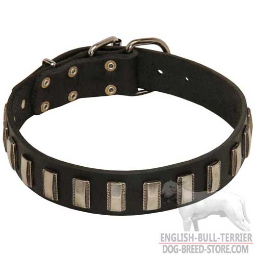 Stylish Design Leather Bull Terrier Collar For Fashion Walking