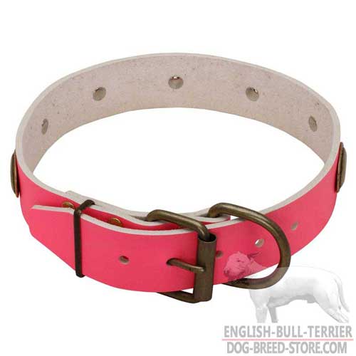 Pink Leather Dog Collar Adjustable with Brass Fittings