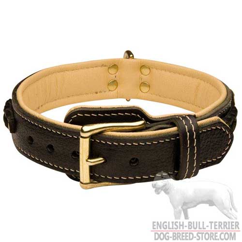 Fashion English Bull Terrier Collar