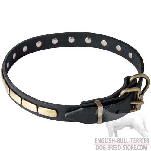 Fashion Leather Dog Collar for Bull Terrier with Strong Buckle