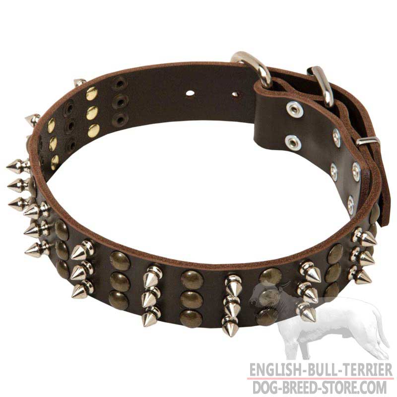 Leather bull terrier collars heavily studded 