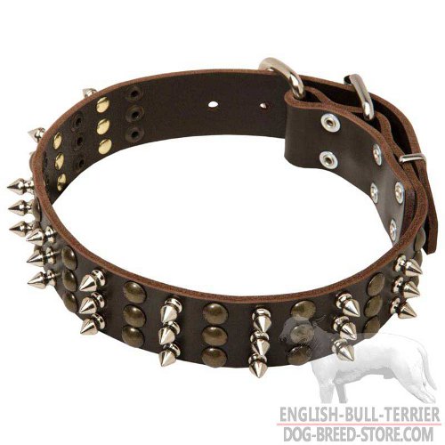 Bull Terrier Collar Spiked and Studded