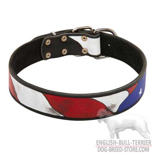 Hand Painted Leather Dog Collar for Bull Terrier Walking