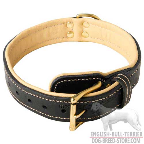 Adjustable Leather Bull Terrier Collar Padded with Soft Nappa