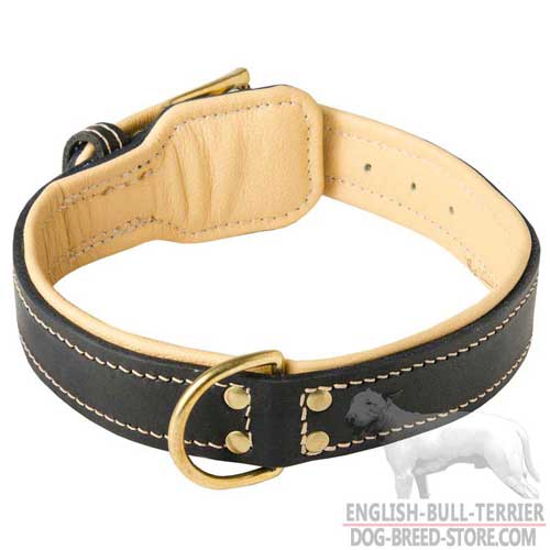 Soft Nappa Padded Leather Bull Terrier Collar with Brass Ring