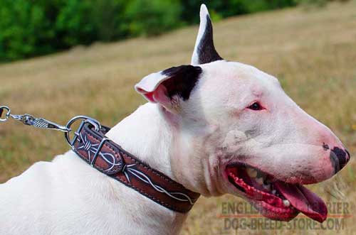 Barbed Wire Hand Painted Leather Dog Collar for Bull Terrier