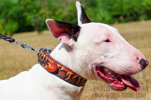 Durable Leather Bull Terrier Collar With Hand Painted Red Flames