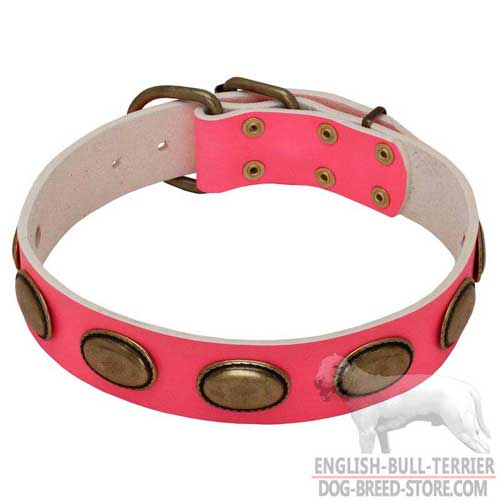 Pink Leather Dog Collar with Vintage Oval Brass Plates
