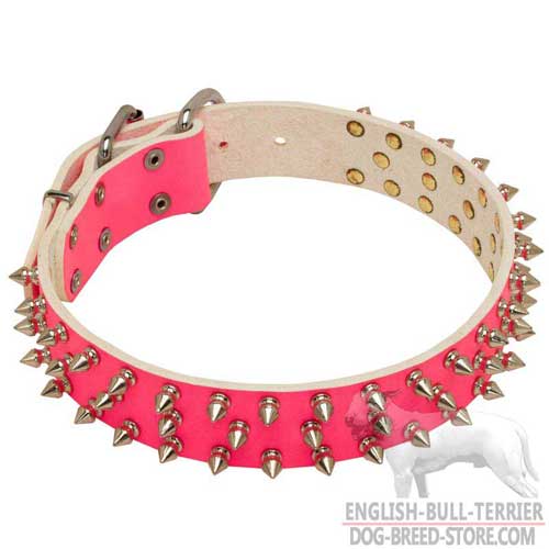 Leather Bull Terrier Collar of Spiked Design for Safe Walking